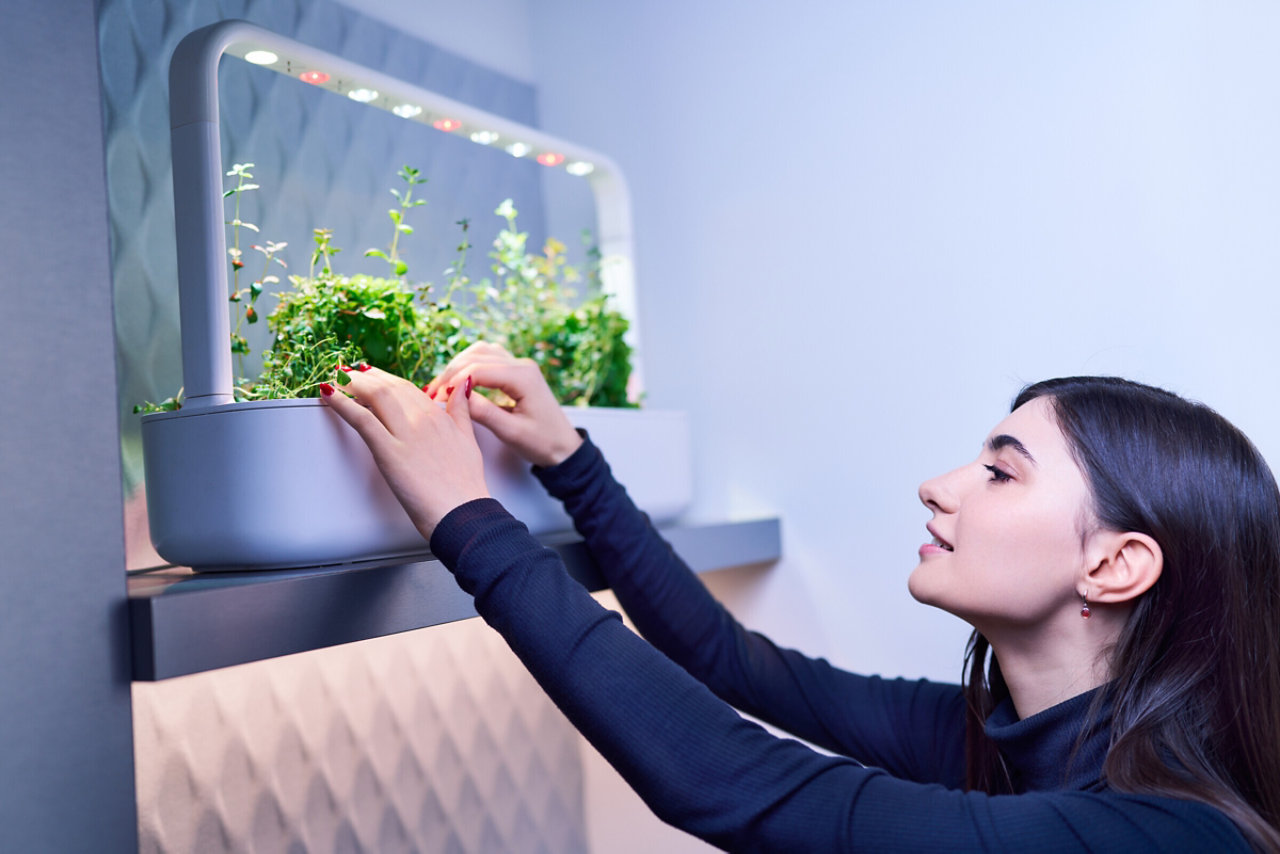 woman tending to plants in an office