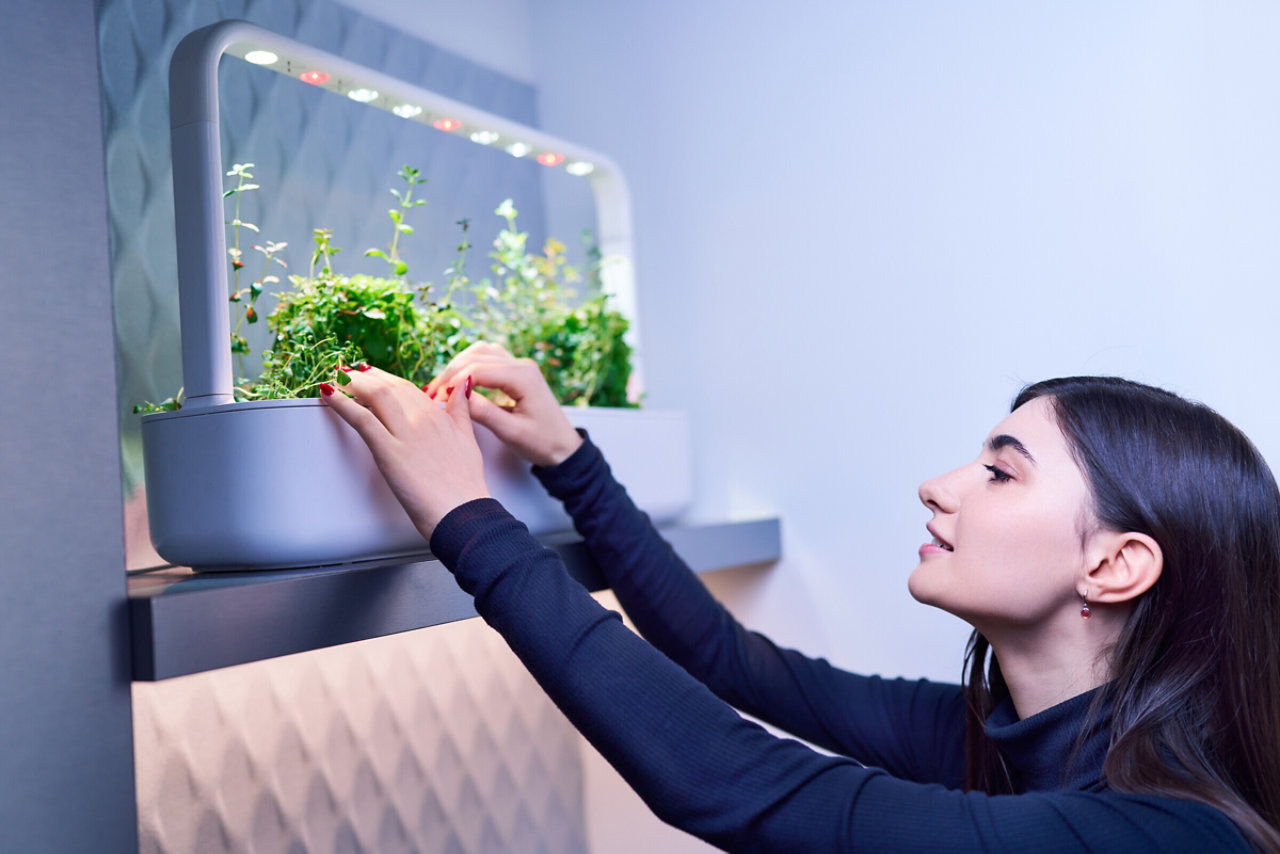 woman tending tio plants in office