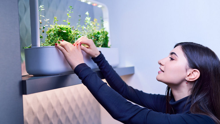 woman tending tio plants in office