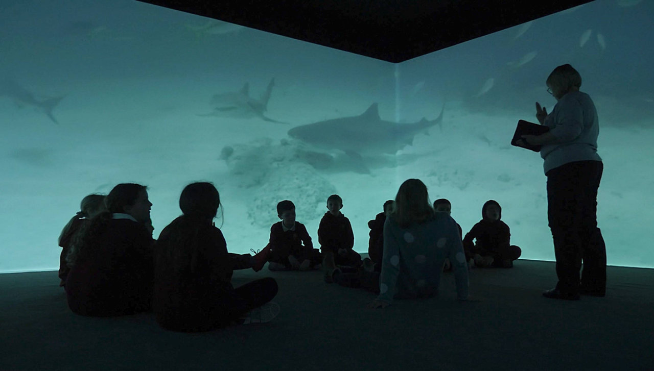 Students inside an immersive classroom