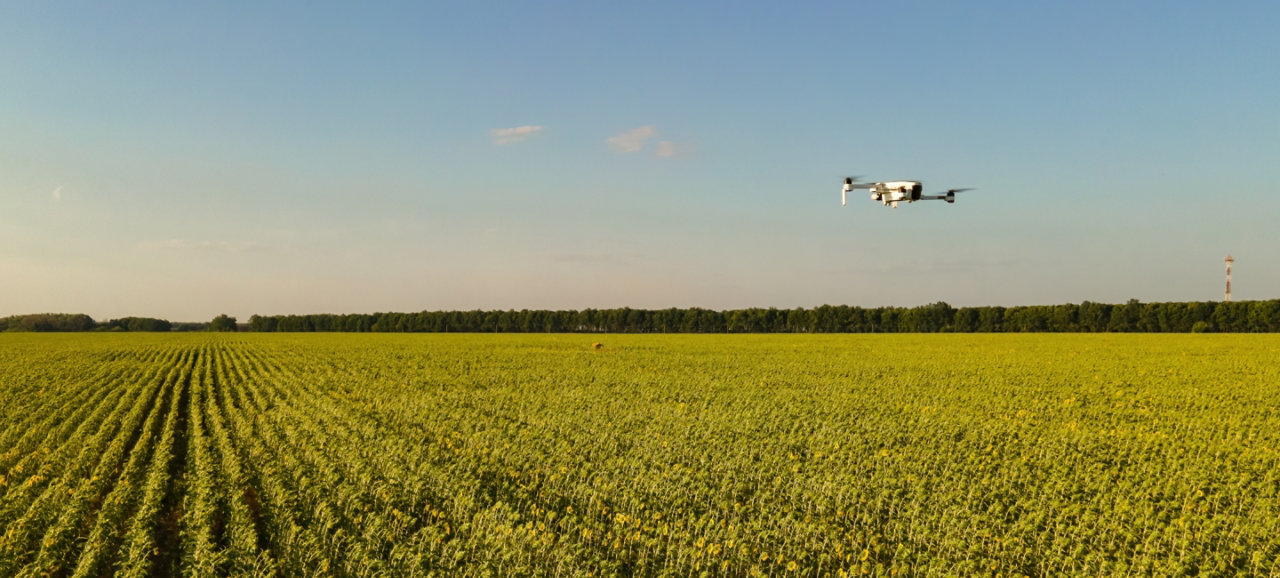 Drones Image over agriculture land