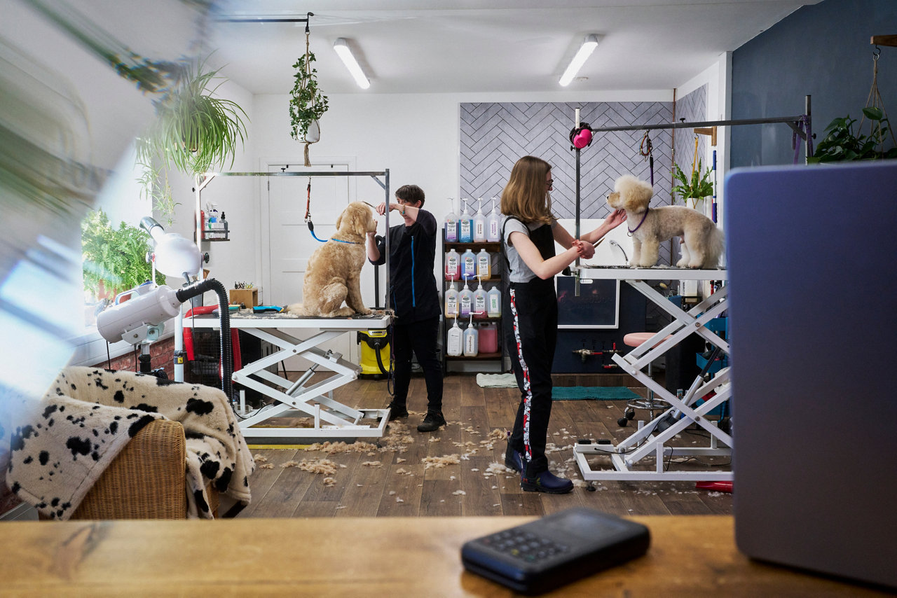 image of a dog grooming salon