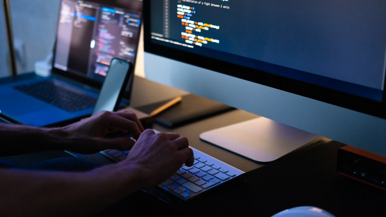 computer programmer working from home