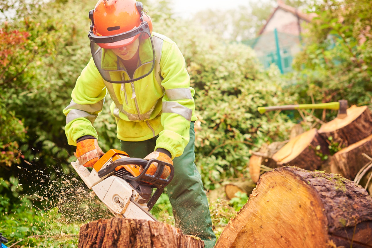 Female tree surgeon at work