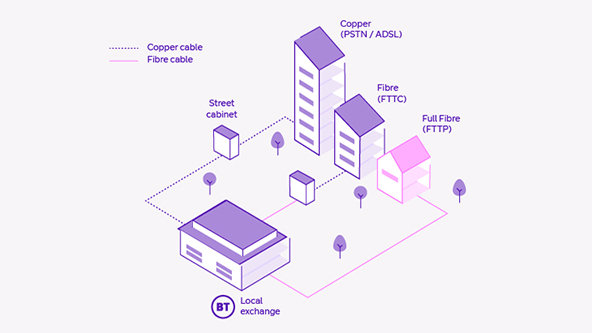 Fibre infographic