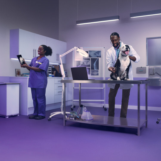 Cyber Security Awareness Training